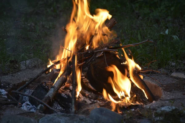 Ein Lagerfeuer Auf Einem Feld Abend — Stockfoto