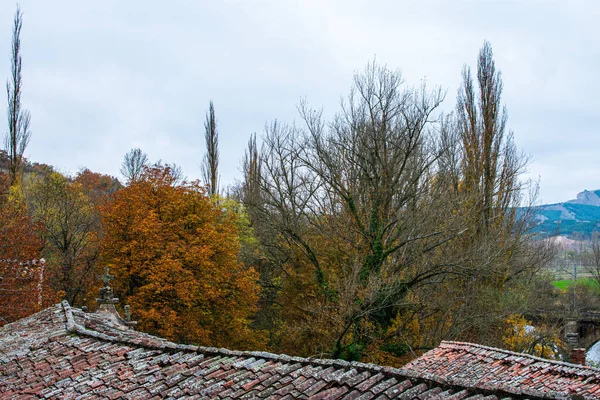 西班牙拉斯图埃塞斯自然保护区的屋顶和五彩缤纷的秋树特写 — 图库照片