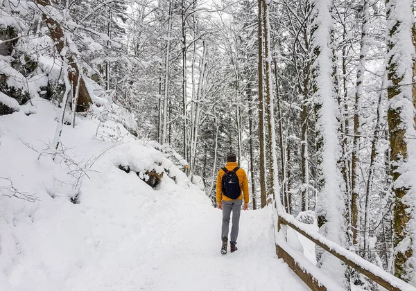 Una Hermosa Vista Hombre Caucásico Caminando Bosque Congelado Cubierto Nieve — Foto de Stock