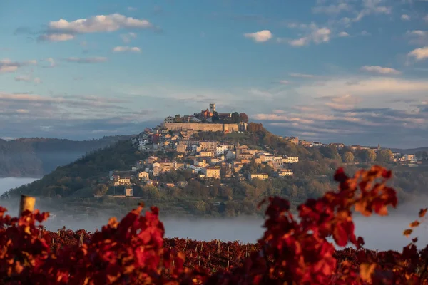 Uma Paisagem Vinhedo Outono Para Cidade Motovun Ístria Croácia — Fotografia de Stock