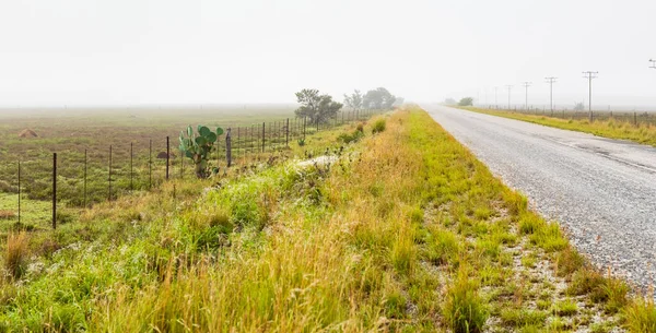 Una Strada Asfaltata Tra Campi Verdi Una Giornata Nebbiosa — Foto Stock