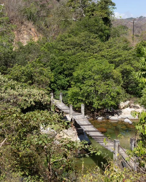 メキシコのナヤリット川の森への木製の道の垂直ショット — ストック写真