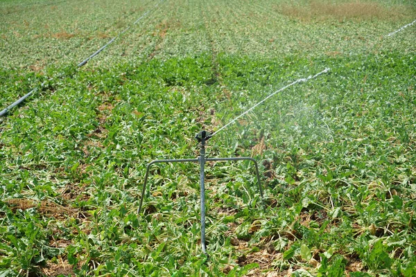 Een Close Van Het Irrigatiesysteem Dat Het Veld Besproeit — Stockfoto