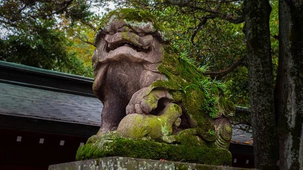 Statue Buddharupa Forme Éveillé Tokyo Japon Avec Mousse Verte Qui — Photo