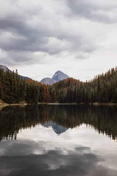 Függőleges Felvétel Kilátás Hegyek Jasper Nemzeti Park Alberta Kanada — Stock Fotó