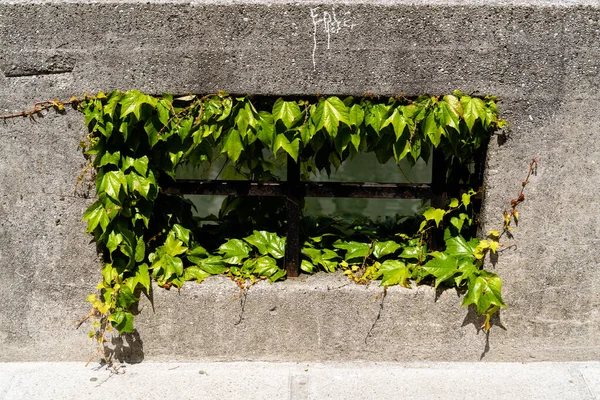 Een Close Opname Van Een Venster Van Een Betonnen Gebouw — Stockfoto