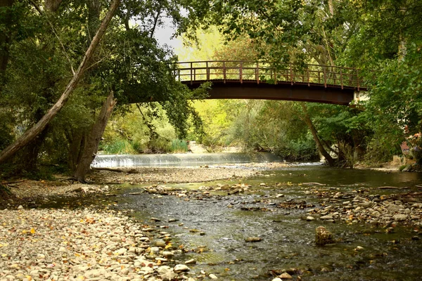 Una Muy Buena Manera Disfrutar Naturaleza Sin Causar Ningún Daño — Foto de Stock