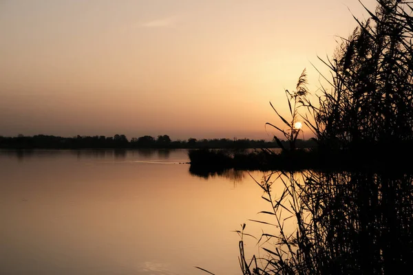 シルエットの芝生で湖の上に息をのむような夕日の景色 — ストック写真