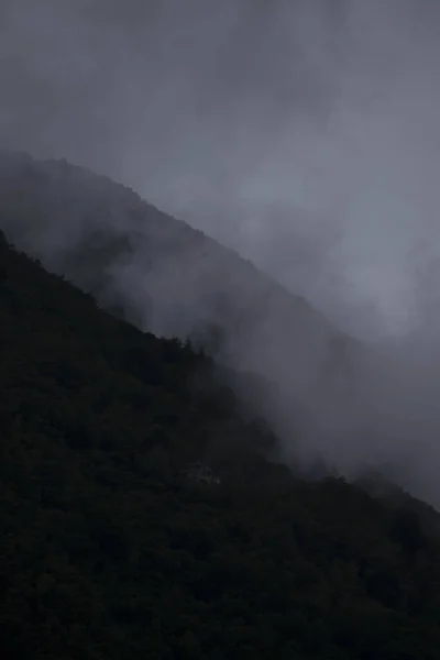 Tiro Vertical Uma Misteriosa Floresta Nebulosa Nas Montanhas Preto Branco — Fotografia de Stock