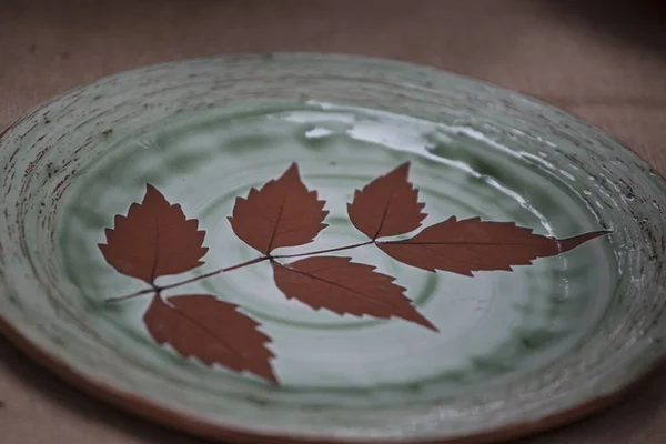 Primo Piano Selettivo Piatto Ceramica Con Centro Disegno Delle Foglie — Foto Stock