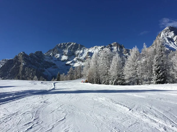 Een Prachtig Winterlandschap Met Takken Bedekt Met Witte Sneeuw — Stockfoto