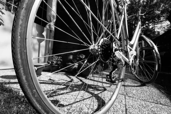 Uma Foto Tons Cinza Uma Bicicleta Velha Estacionada Pátio — Fotografia de Stock