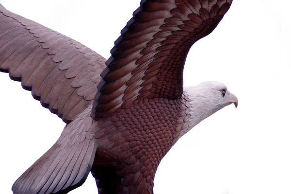 Een Close Opname Van Het Beroemde Eagle Standbeeld Langkawi Maleisië — Stockfoto