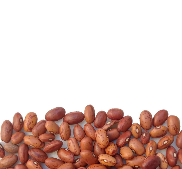 Kacang Merah Untuk Sup Tradisional Italia Minestrone Sumber Protein Dan — Stok Foto