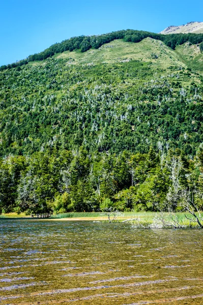 平静的湖面和覆盖着树木的小山的垂直景观 — 图库照片