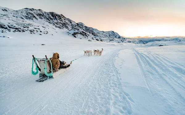 Hermoso Disparo Grupo Amigos Trineo Conducido Por Perros Nieve Las —  Fotos de Stock