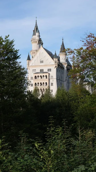 Plano Vertical Del Hermoso Castillo Neuschwanstein Capturado Alemania Bávara —  Fotos de Stock