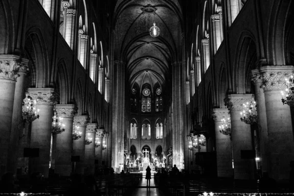 Paris France Temmuz 2017 Büyüleyici Serinletici Süper Geniş Çekim Notre — Stok fotoğraf