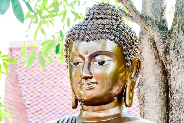 Tiro Perto Uma Cabeça Estátua Dourada Buda — Fotografia de Stock