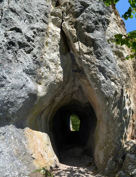 Disparo Vertical Cueva Tatarilor Las Gargantas Varghis Rumania — Foto de Stock