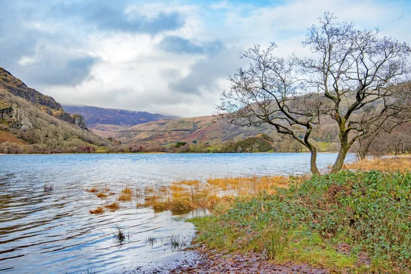 Llyn Gwynant Snowdonia Nemzeti Parkban Wales — Stock Fotó