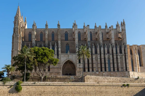 Beautiful View Magnificent Old Cathedral Captured Mallorca Spain — Stock Photo, Image