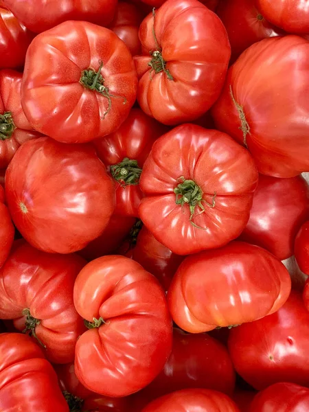 Ein Vertikaler Schuss Bio Tomate — Stockfoto