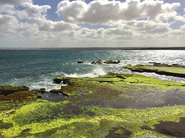 Una Hermosa Foto Paisaje Nublado Orilla Del Mar Cubierta Algas — Foto de Stock