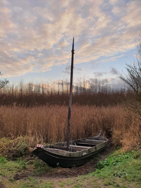 Disparo Vertical Bote Abandonado Parque Nacional Biesbosch Brabante — Foto de Stock