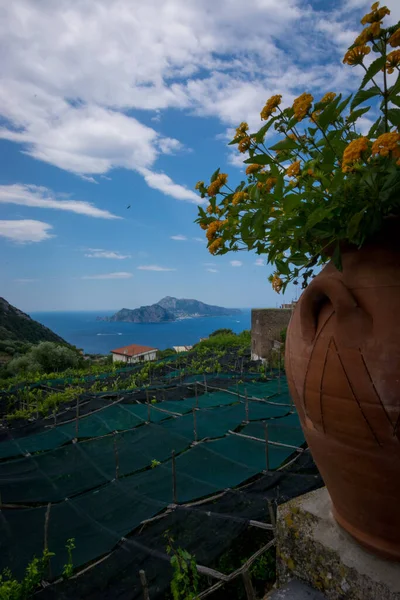 Een Verticaal Shot Van Een Plantage Positano Dorp Nabij Amalfi — Stockfoto