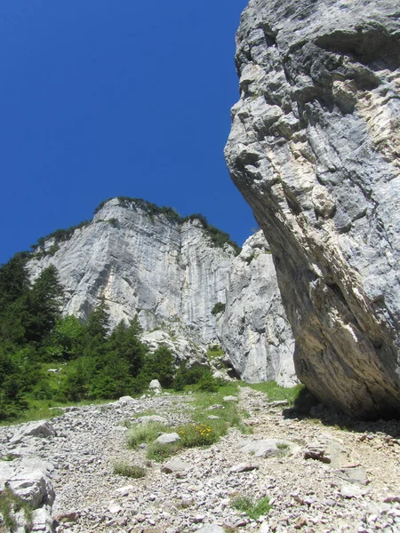 Εντυπωσιακό Διαβρωμένο Ασβεστόλιθο Σχηματισμούς Στις Άλπεις Στο Ebenalp Appenzell Καντόνιο — Φωτογραφία Αρχείου