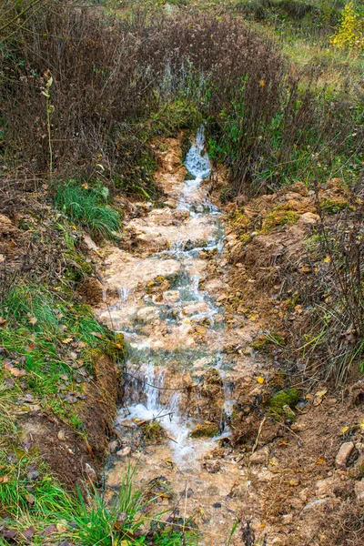 Függőleges Felvétel Egy Patak Őszi Növények Las Tuerces Rezervátum Spanyolországban — Stock Fotó