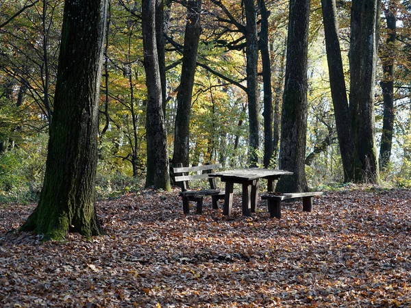 Een Picknickplaats Een Bos Herfst Tafel Banken — Stockfoto