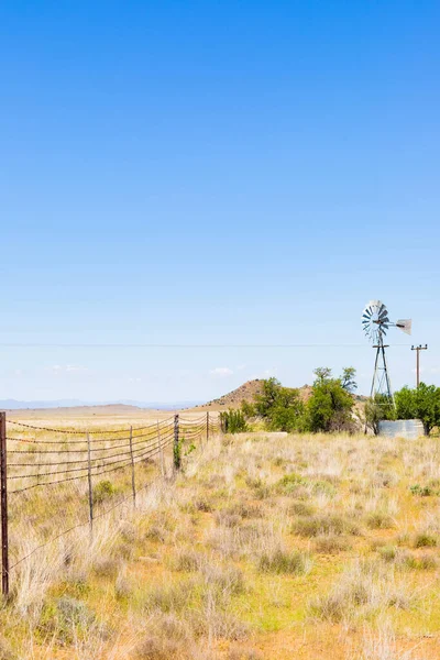 Colpo Verticale Campo Asciutto Sullo Sfondo Del Cielo Blu — Foto Stock