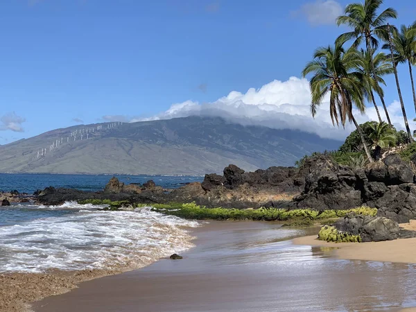 海滨风景 右边是棕榈树 后面是高山 背景是夏威夷毛伊岛 — 图库照片