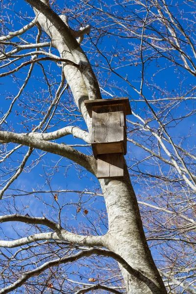 Ağaçtaki Kuş Evinin Dikey Görüntüsü — Stok fotoğraf