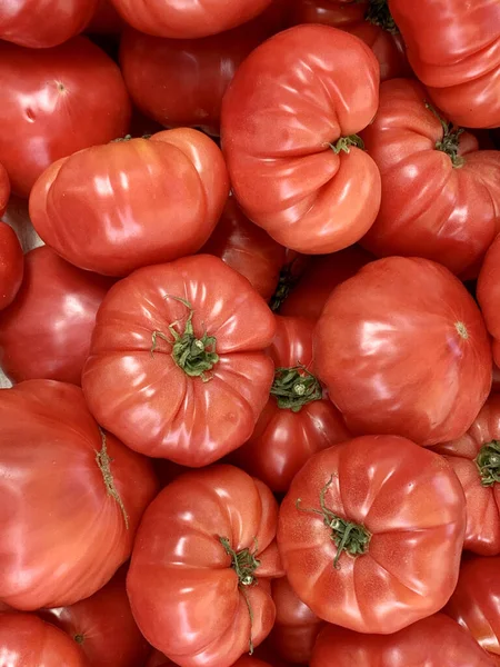 Ein Vertikaler Schuss Bio Tomaten — Stockfoto