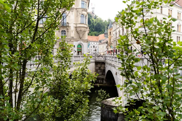 Beau Cliché Pont Bâtiments Avec Des Fenêtres Forme Arc Ljubljana — Photo