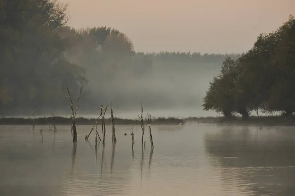 Egy Ködös Reggel Tónál Fákkal Erdőkkel Körülvéve — Stock Fotó