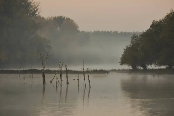 Una Mañana Brumosa Lago Rodeado Árboles Bosques —  Fotos de Stock