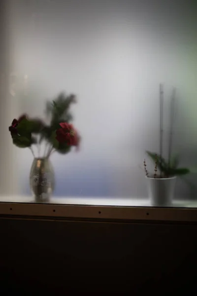 Vertikal Sho Vaser Med Färska Dekorativa Blommor Bakom Ett Ångat — Stockfoto