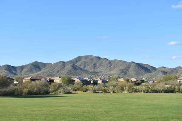 Una Hermosa Vista Del Paisaje Daisy Mountain Con Verde Parque —  Fotos de Stock