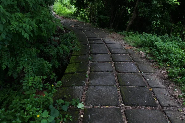 Ein Schmaler Pfad Durch Den Park Auf Einem — Stockfoto