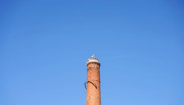 Colpo Angolo Basso Nido Cicogna Una Torre Chiesa Nello Sfondo — Foto Stock