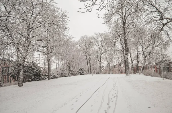 Vacker Bild Frostade Träd Och Snöiga Vägar Vintern Haven — Stockfoto
