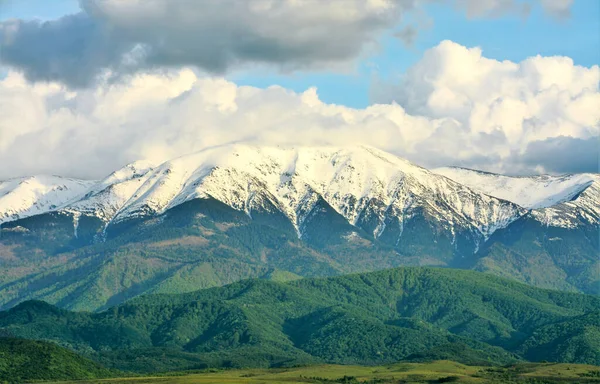 Een Landschap Van Groene Velden Met Besneeuwde Bergtoppen Calimani Roemenië — Stockfoto