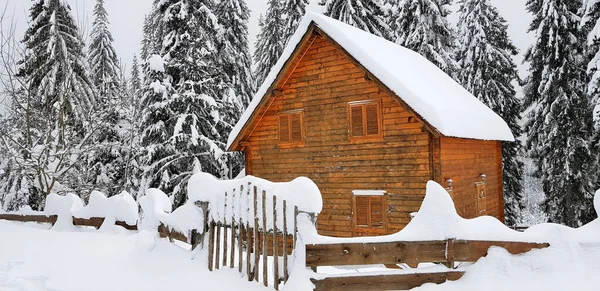 Schöne Aufnahme Eines Schneebedeckten Blockhauses Einem Kalten Wintertag Wald — Stockfoto