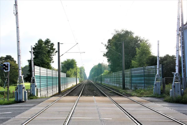 Eine Eisenbahn Durch Bäume Einem Sonnigen Tag — Stockfoto