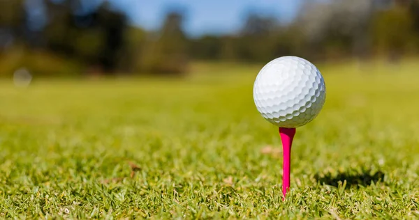 Een Ondiepe Focus Van Een Golfbal Een Tee Een Baan — Stockfoto