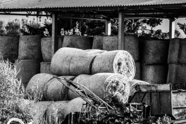 Сіро Коричневий Знімок Великої Кількості Укладаних Тюків Сіна — стокове фото